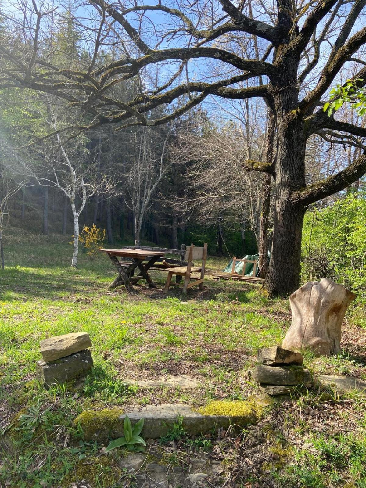 Stanza Nel Bosco Alla Canova Di Biforco Rocca San Casciano Exterior foto