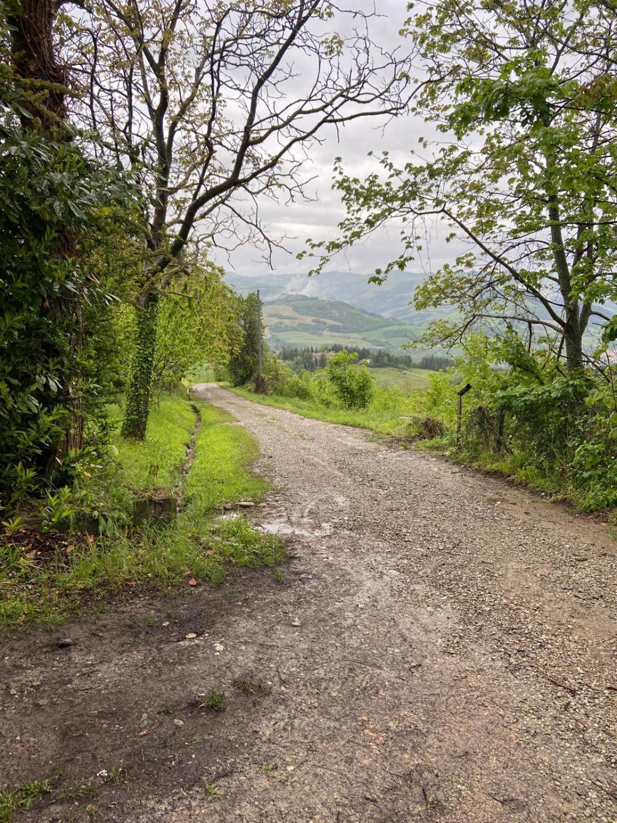 Stanza Nel Bosco Alla Canova Di Biforco Rocca San Casciano Exterior foto