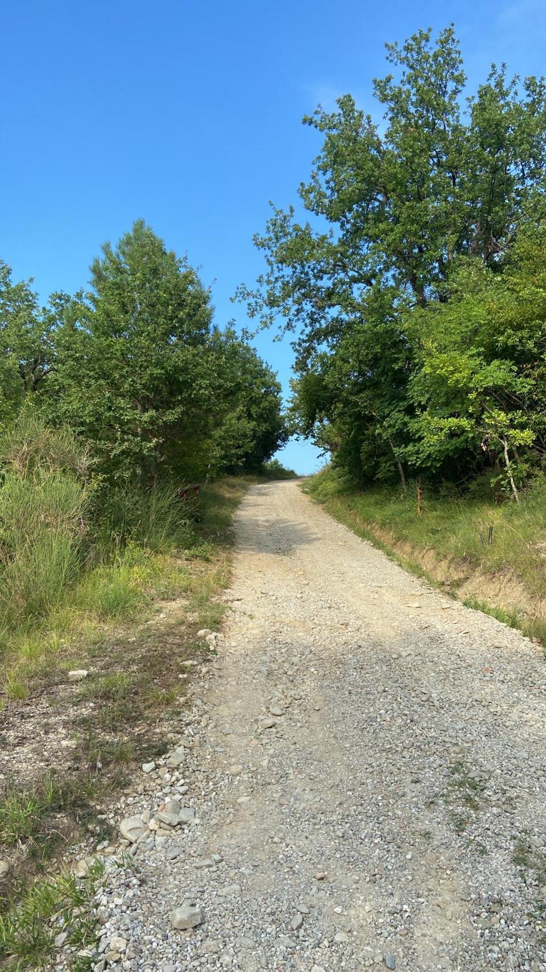 Stanza Nel Bosco Alla Canova Di Biforco Rocca San Casciano Exterior foto